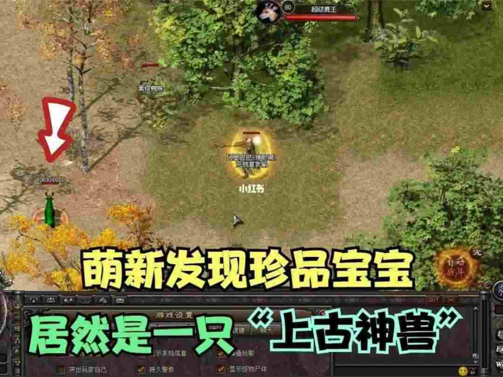 传奇手游月灵怎么召唤,传奇手游技巧分享:月灵召唤攻略
